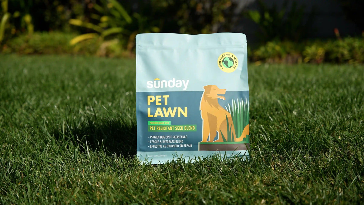 Pet Lawn Grass Seed (2-Pack)