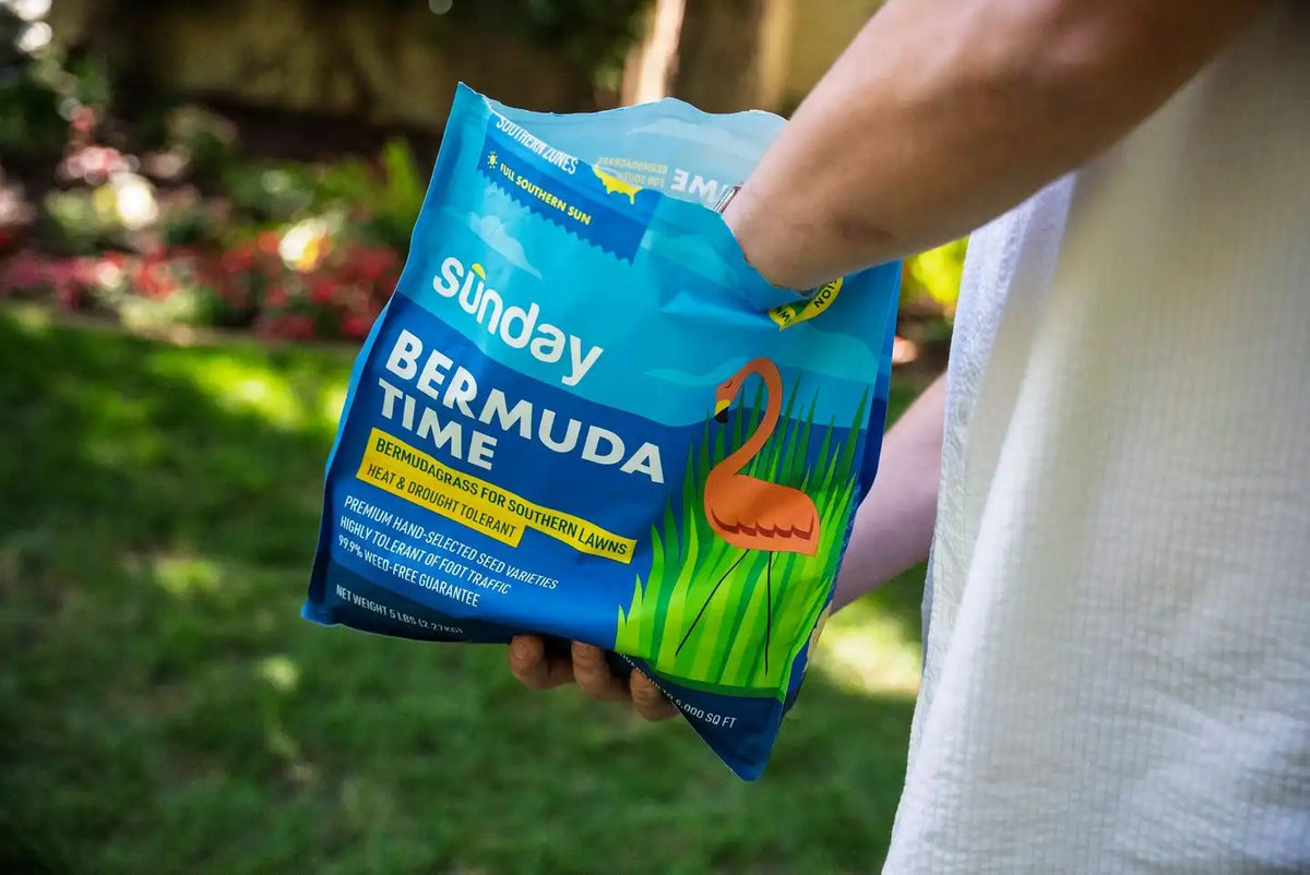 Bermuda Time Common Bermudagrass Seed