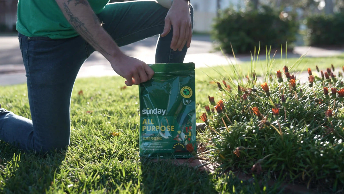 All-Purpose Plant Food Mix