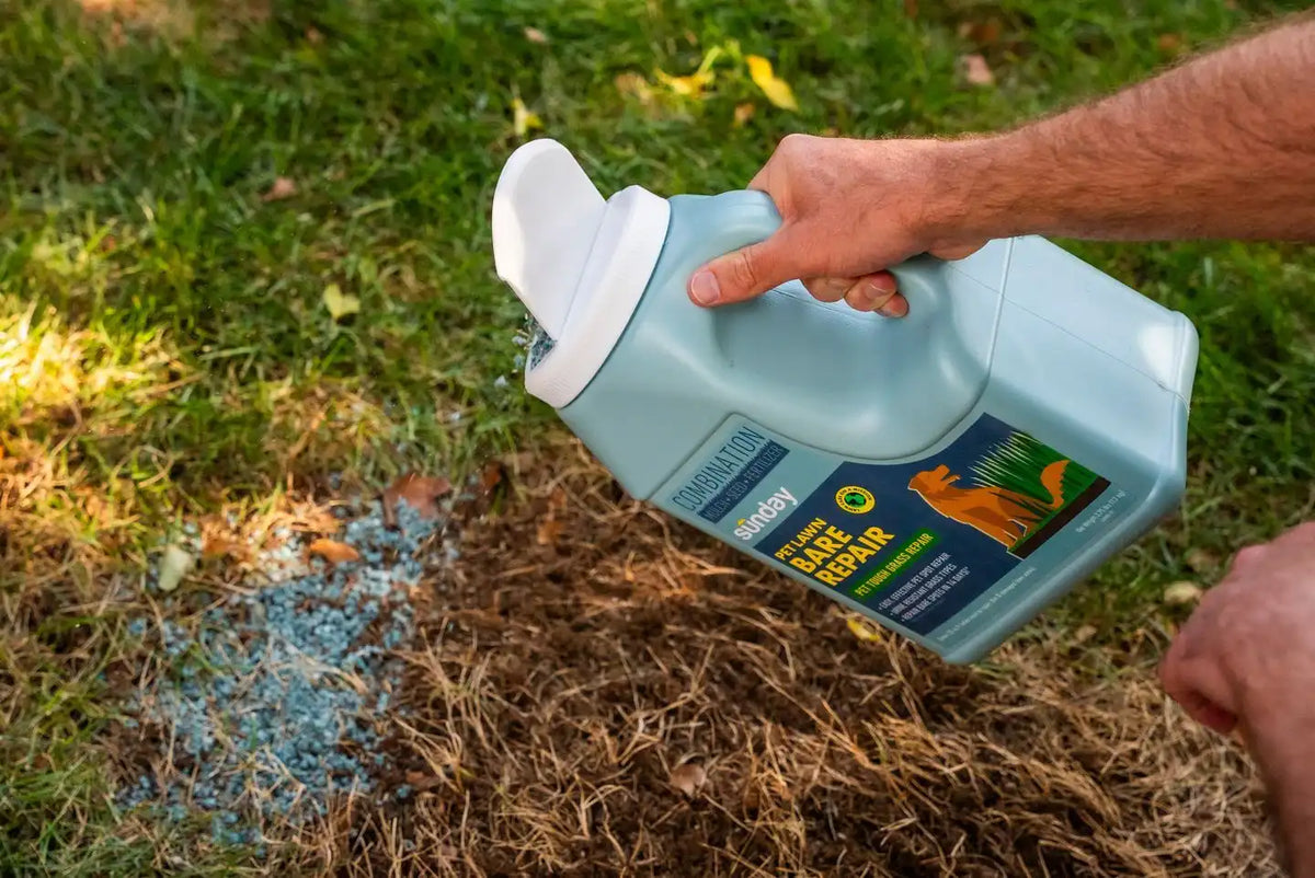 Pet Lawn Bare Repair