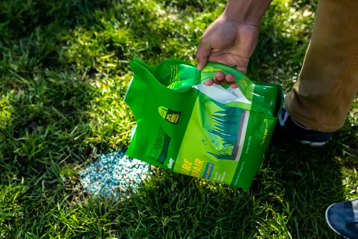 Bare Repair Sun + Shade Lawn Treatment + Grass Seed