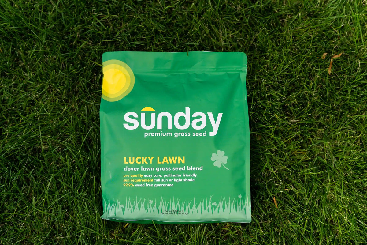 Lucky Lawn Grass Seed (2-pack)