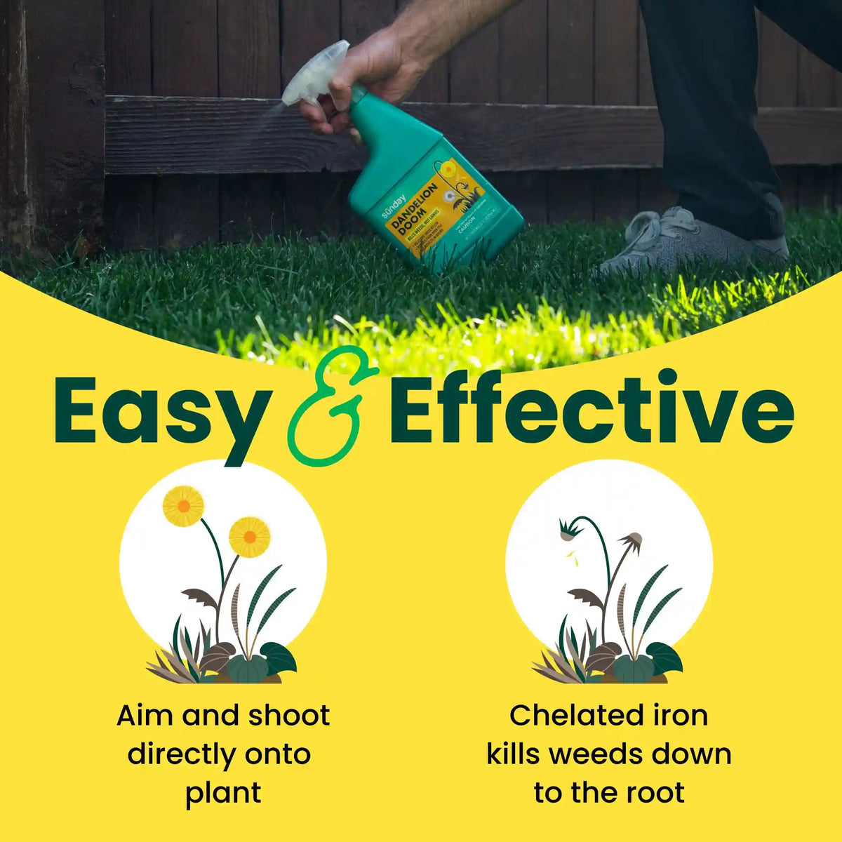 Dandelion Doom Ready-to-Use Weed Killer Spray (2-Pack)