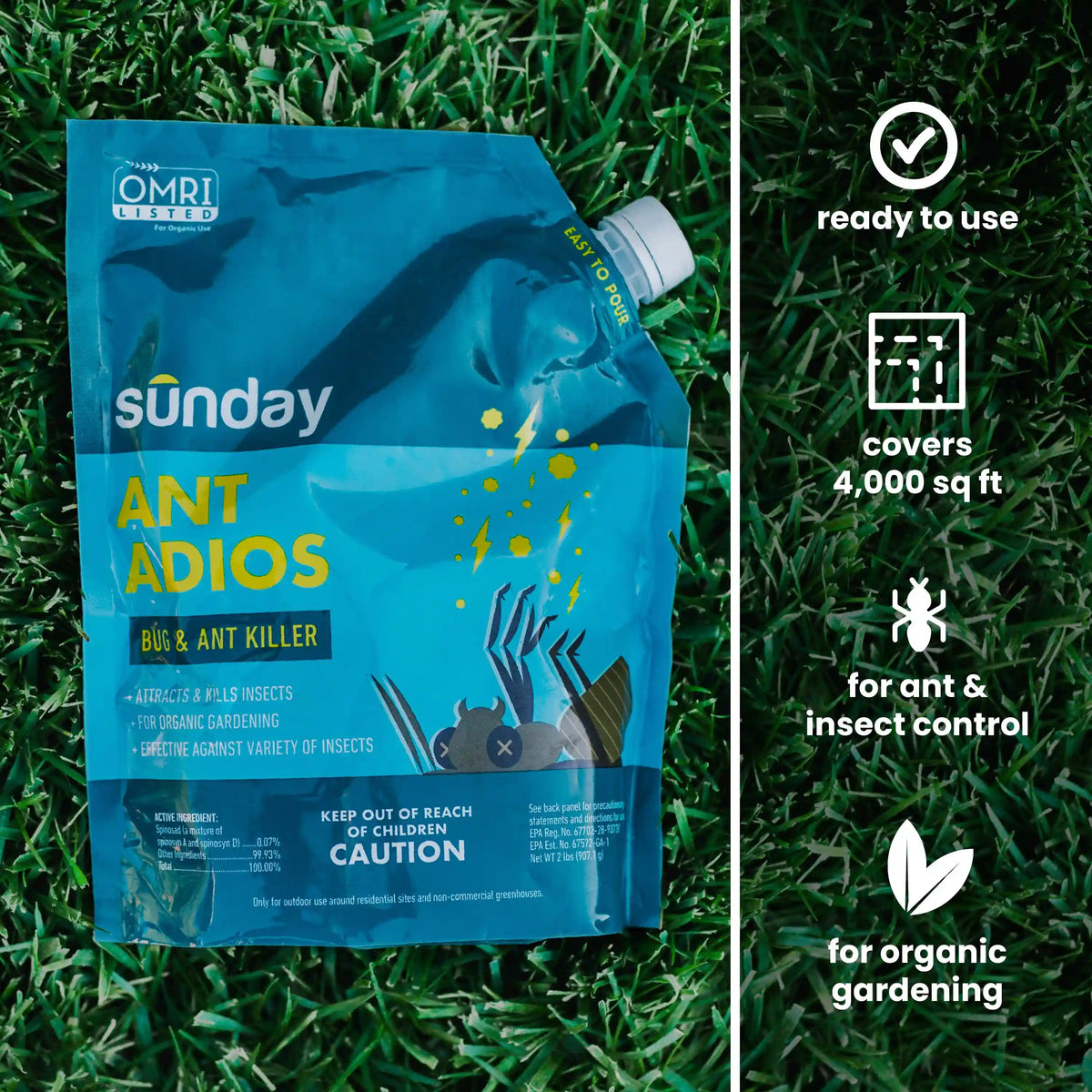Ant Adios Insect & Ant Killer (2-pack)