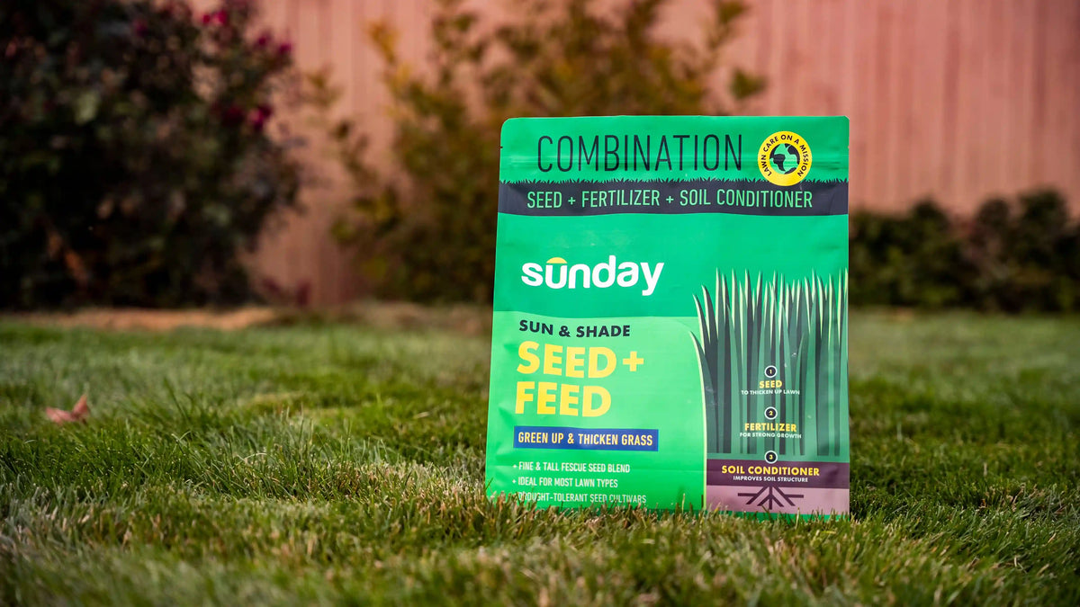 Sun & Shade Seed + Feed