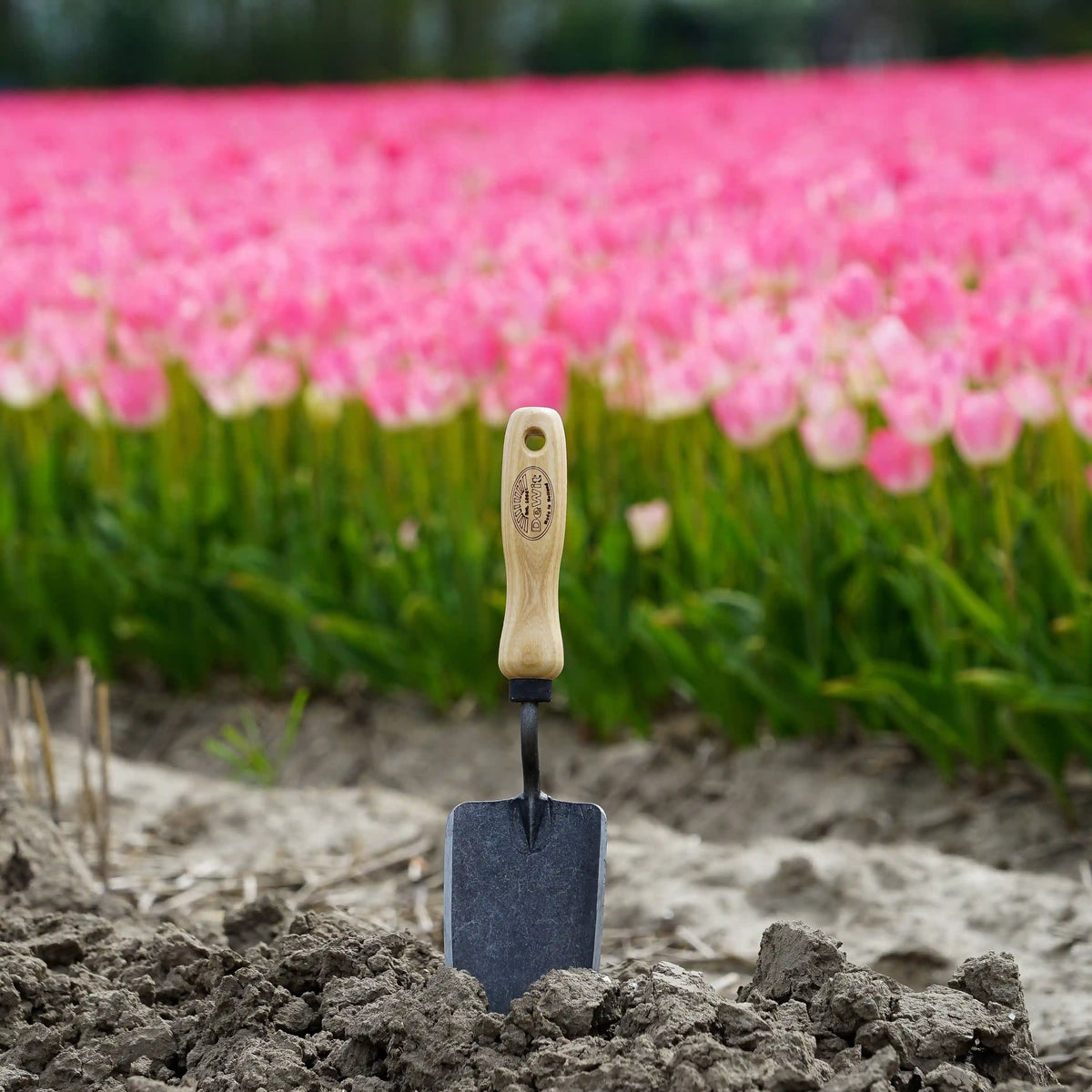 DeWit Forged Hand Trowel