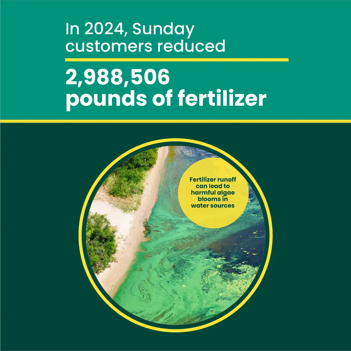 Lawn Vitality Liquid Lawn Fertilizer