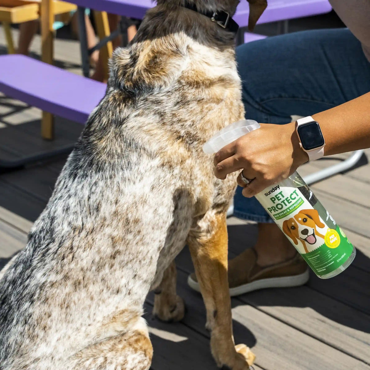Pet Pest Protection Kit