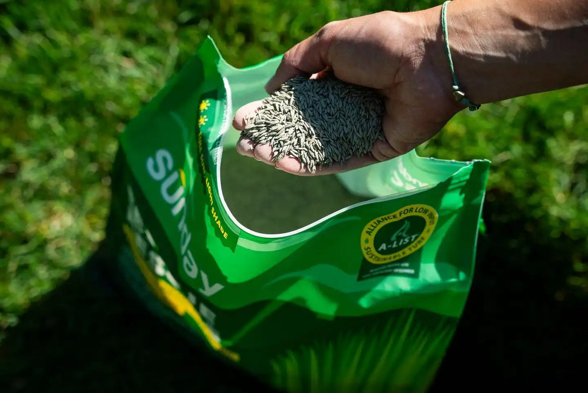 Fescue Rescue Grass Seed