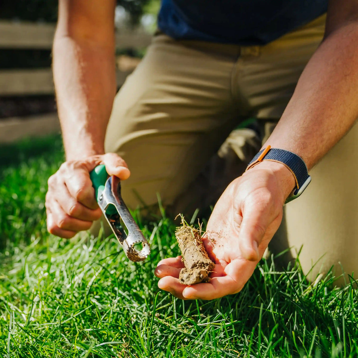 Sunday Soil Test Kit & Analysis