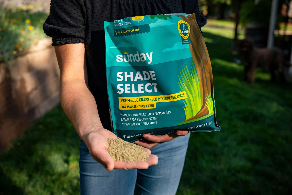 Shade Select Grass Seed (2-pack)