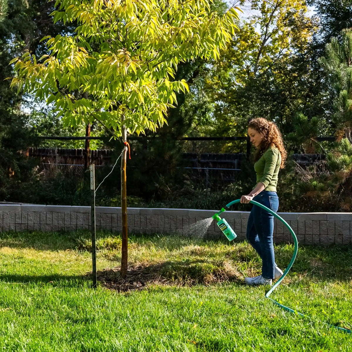 Tree & Landscape Plan