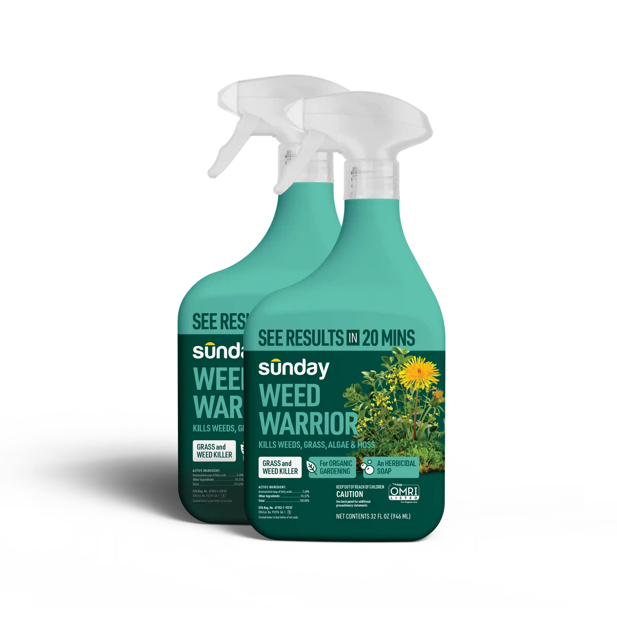 Weed Warrior Ready-to-Use Weed and Grass Killer (2-Pack)